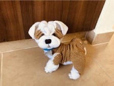 BULLDOG (T R A D U Ç Ã O)