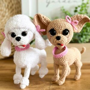 Poodle e Chihuahua♦️