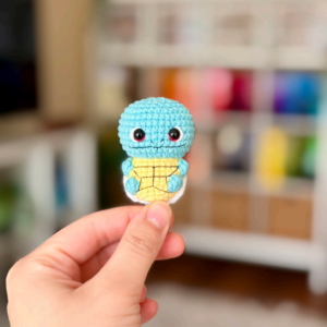 Squirtle Pokémon